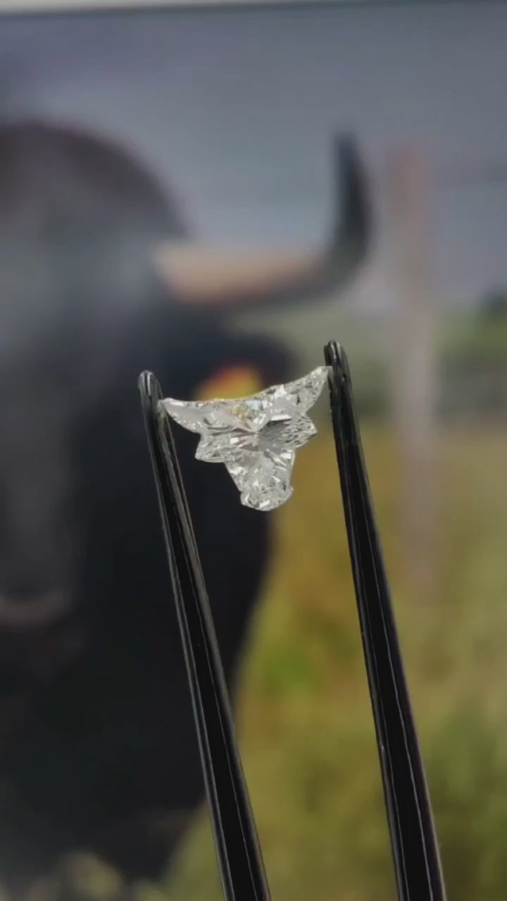 Bull Face Cut Lab Grown Diamond 1.00 CT | Rare Fancy Shape Diamond | VS1 E-F Color | Ethical Loose Diamond